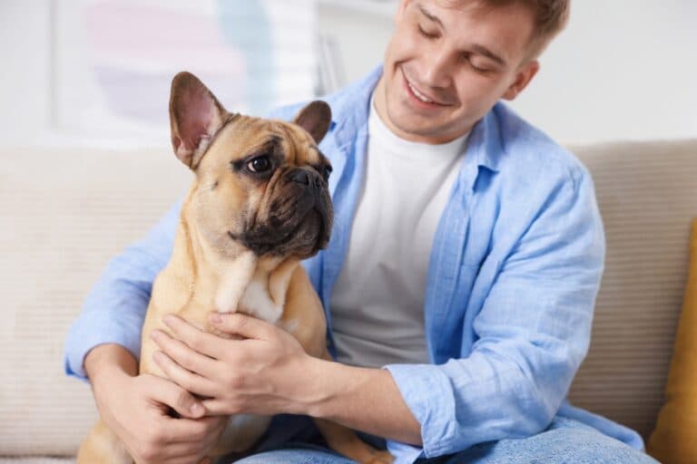 What Are Frenchies Scared Of?