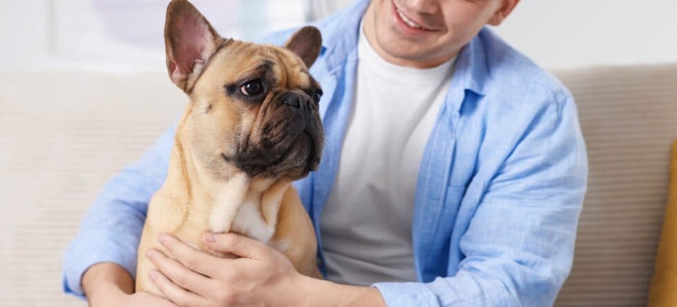 What Are Frenchies Scared Of?