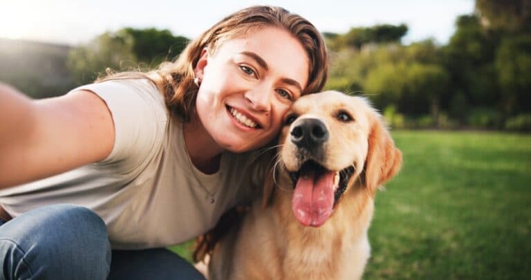 What Are The Best Qualities Of A Golden Retriever?
