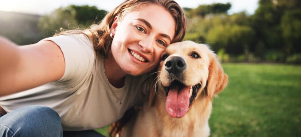 What Are The Best Qualities Of A Golden Retriever?