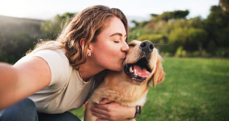 Where Do Dogs Like To Be Kissed?