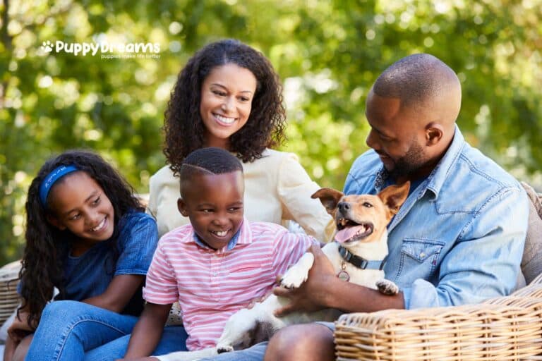 What Are The Best Dog Breeds for Families? Find Your Perfect Match!