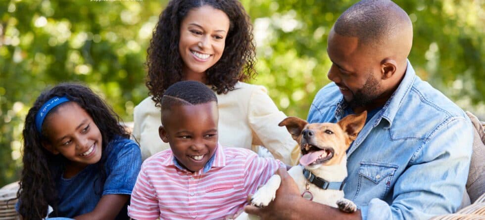 What Are The Best Dog Breeds for Families? Find Your Perfect Match!