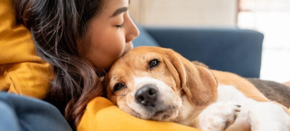 How To Calm A High Anxiety Dog?