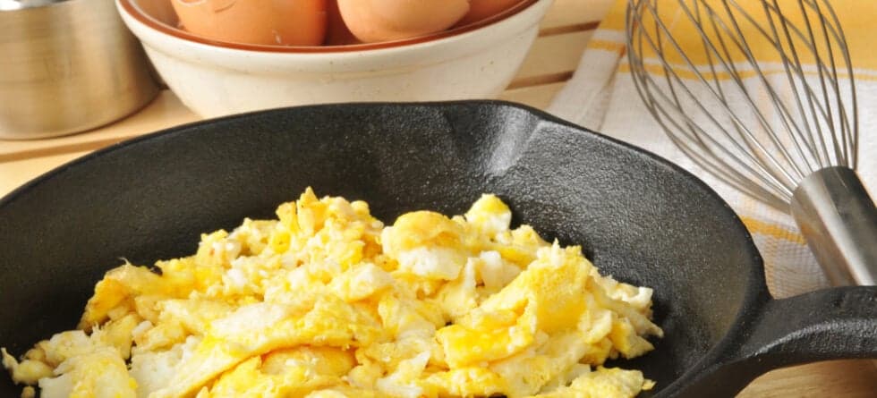 Is A Scrambled Egg Good For A Dog?