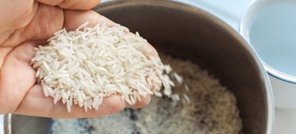 Is Rice Good For Dogs?