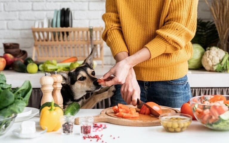 What Can’t Dogs Eat List?
