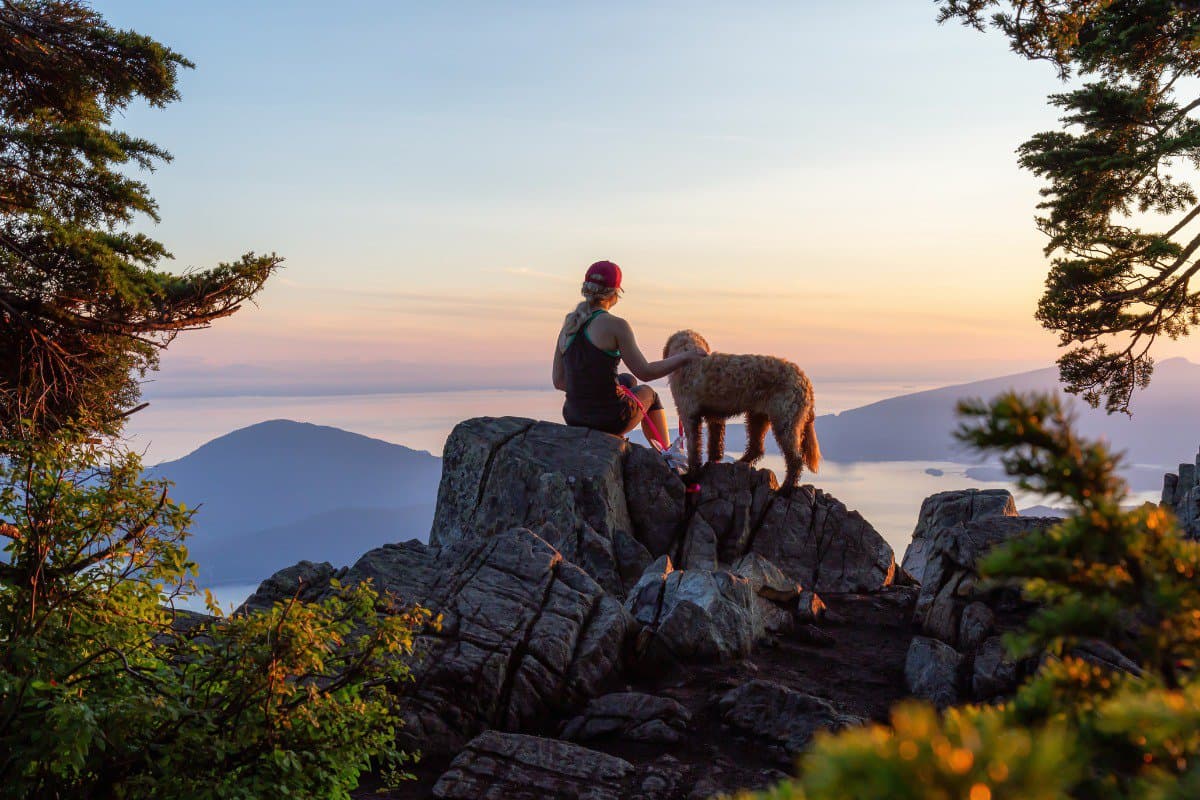 Best Dog Breed for Hiking: Top Picks for Trail-Ready Adventures in Frisco